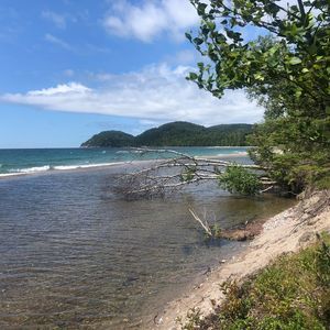 Meet your Posher, Natasha